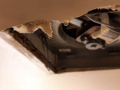 Professional water damage restoration services in Lantana